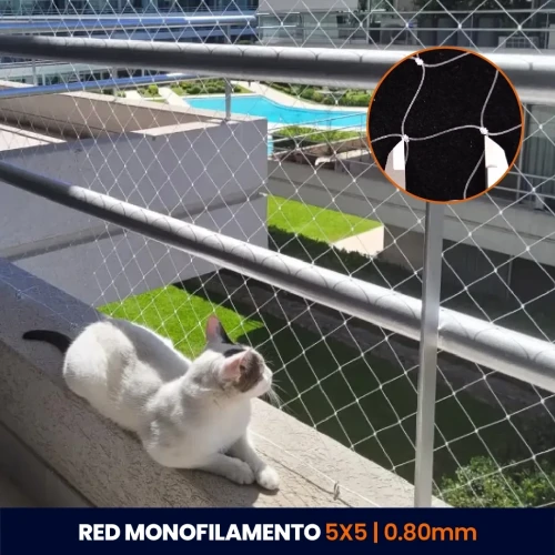 Red Monofilamento Traslúcida – Rombo 5×5 cm – Hilo 0,8 mm – Con kit