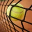 Tenis